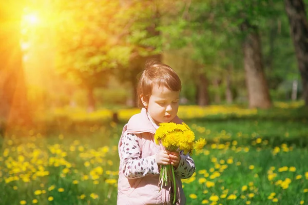 Šťastné Dětství Dívka Sbírá Kytici Divokých Květin — Stock fotografie