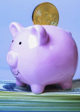 ABD Doları banknotları, dijital para birimi ve İnternet Dikey Görüntü işlemlerinin sembolü olarak bitcoin 'li domuz kumbarası.