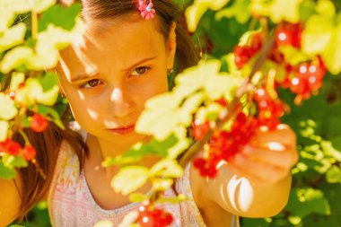 Vitaminler, sağlıklı yiyecekler, mutlu çocukluk konsepti. Güzel, genç, mutlu bir kız bahçede üzümlü frenk üzümü hasat ediyor. Gözlere odaklan.