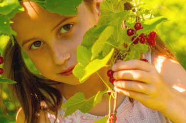Vitaminler, sağlıklı yiyecekler, mutlu çocukluk konsepti. Frenk üzümünün yanında güzel bir kızın fotoğrafı..