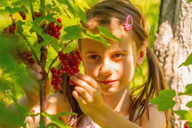 Vitaminler, sağlıklı yiyecekler, mutlu çocukluk konsepti. Genç bir kız, çalı ve ağaçların yeşil arka planında frenk üzümü topluyor..