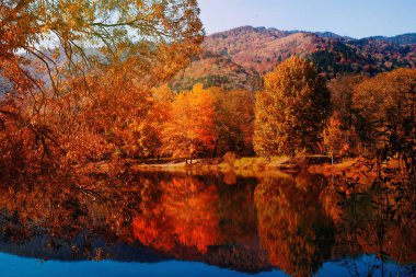Güzel doğa manzarası, muhteşem sonbahar gölü manzarası. Altın sonbaharın sihirli renkleri. 