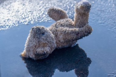 Kavramsal görüntü: kayıp çocukluk, yalnızlık, acı ve depresyon. Açık havada uzanan kirli oyuncak ayıyı kapat. Kırık oyuncaklar. Yatay resim.