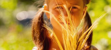 Mısırdan kulağı olan güzel bir kız. Tarım, biyolojik sağlıklı gıda, tahıl ürünleri ithalatı. Seçici odaklanma. Boşluğu kopyala.