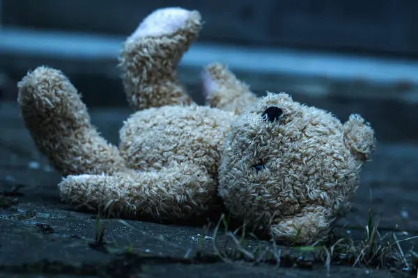 Oyuncak ayı, kayıp çocukluk, yalnızlık, acı ve depresyonun sembolü olarak kirli asfaltta yatıyor. Yatay resim.