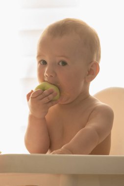 Bebek meyve yiyor. Güneşli mutfakta beyaz sandalyede oturan elma yiyen küçük çocuk. Bebek maması ürünleri bebekler ve çocuklar için iyidir. Çocuklar için sağlıklı beslenme. Bebek için katı yiyecek..