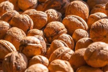 Kabuklu ve kabuksuz ceviz. Taze ceviz arkaplanı. Yatay resim.