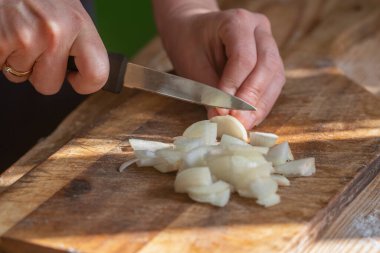 İtalyan ekmeği ve malzemeleri - parmesan, zeytinyağı, domates, baharat ve bitkiler. Şefin ellerinin portresi pizzada soğan dilimleri kesiyor.. 