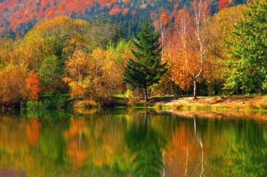 Sonbahar yaprakları ve sabah sisli göl manzarası. 