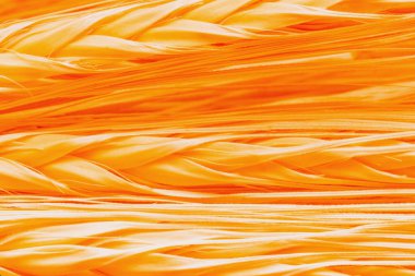 Makro görüntü altın buğday kulakları. Kapalı buğday dikenleri. Yatay resim.