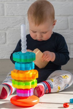 Küçük bebek portresi oyuncaklarla oynamaya başlar. Çocuk bir tasnif makinesi topluyor. Çocuklar için eğitici mantık oyuncakları. Bebek oyun zamanı. Dikey resim.