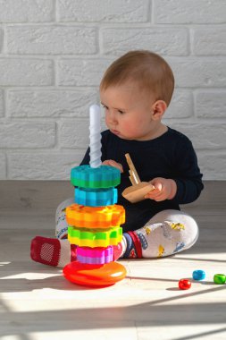 Kediyle oynayan küçük bir bebeğin portresi. Çocuk bir tasnif makinesi topluyor. Çocuklar için eğitici mantık oyuncakları. Dikey resim.