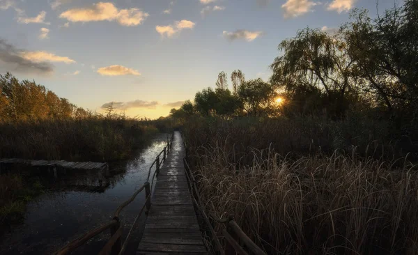 秋の日の出に湿地に木製のパス 秋の日の出ジェグリカ自然公園 テメリン セルビア ヨーロッパ — ストック写真
