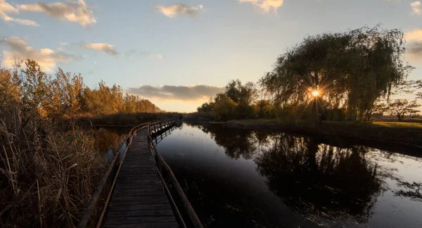 秋の日の出に湿地に木製のパス 秋の日の出ジェグリカ自然公園 テメリン セルビア ヨーロッパ — ストック写真