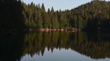 Dağ Gölü 'nün doğasında huzurlu bir yer, yaz zamanı.