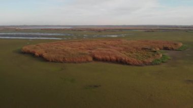 Voyvodina, Sırbistan ve Avrupa 'da Bulutlu Gün Doğa Koruma Alanı