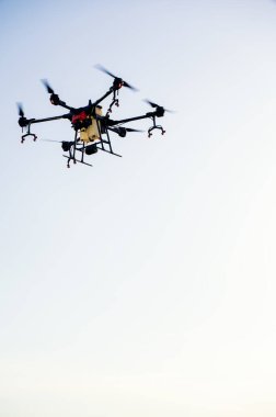 Tarım alanında modern teknolojiler. Endüstriyel İHA yeşil bir alanda uçar ve üretkenliği arttırmak için böcek ilacı sıkar ve zararlı böcekleri yok eder. Çiftçilik teknolojileri