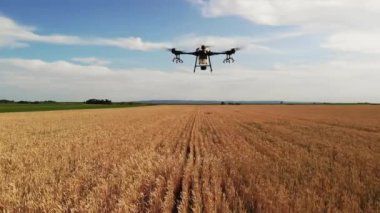 Tarım alanında modern teknolojiler. Endüstriyel İHA yeşil bir alanda uçar ve üretkenliği arttırmak için böcek ilacı sıkar ve zararlı böcekleri yok eder. Çiftçilik teknolojileri. 4K Video.