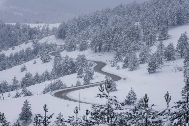 Soğuk kış manzarası, kırsal bölgedeki ağaç dallarında yoğun kar. Romantik zaman detayları.
