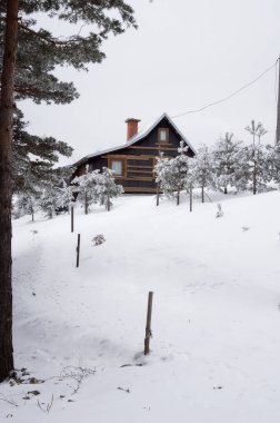 Frosty Winter sabahında Dağ Kulübesi. Taze karla kaplı sakin bir manzara. Doğada Noel Zamanı.