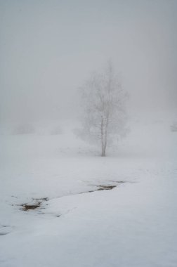 Karlı Kış Manzarasında Yalnız Ağaç, Soğuk Dağ Kartpostal Arkaplanı