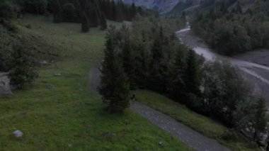 Sixt Fer A Cheval Nature Park 'ta Le Giffre Nehri, Nature Park' ta Yaz Sabah Yürüyüşü, Fransız Alpleri, Fransa, 4k İHA videosu.