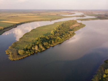 Jegricka Nehri 'ndeki River Adası, Sırbistan' ın Voyvodina kentindeki Doğal Yeşil Kuş Sığınağı. Orta Avrupa 'da düz arazi tarım bölgesi.