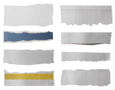 Düz arkaplanda sekiz parça yırtık kağıt 