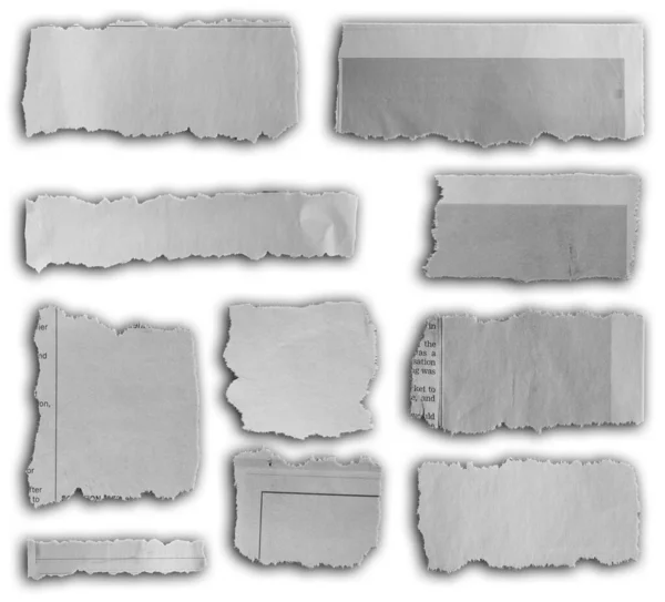 Deset Kusů Roztrhaného Papíru Prostém Pozadí — Stock fotografie