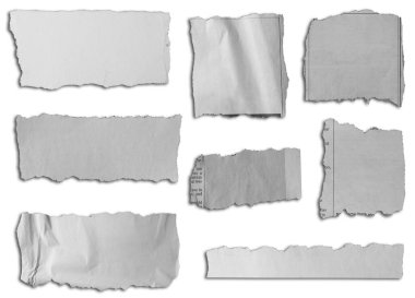 Beyaz arkaplanda sekiz parça yırtık kağıt 