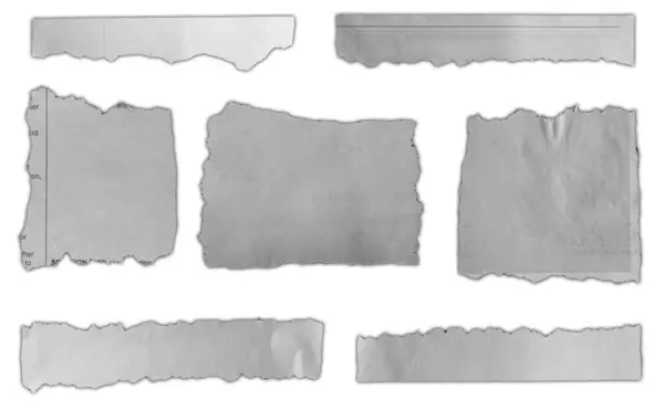 Seven Pieces Torn Paper White Background — Stock Photo, Image