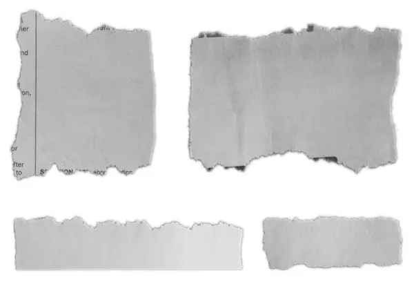 Four Pieces Torn Paper White Background Stock Picture