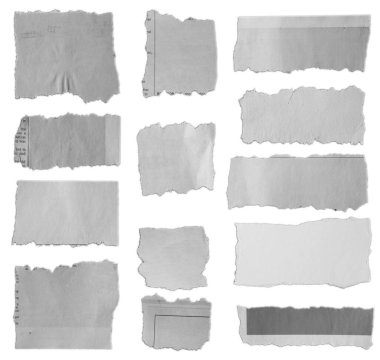 Thirteen pieces of torn paper on white background 