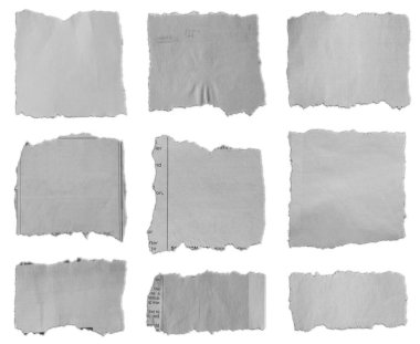 Beyaz arkaplanda dokuz parça yırtık kağıt 