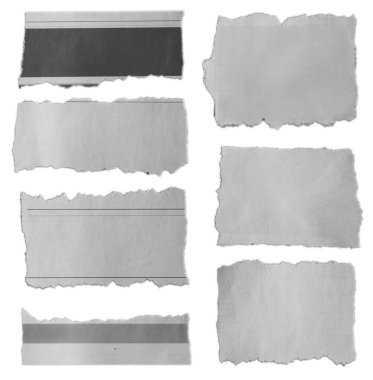 Beyaz arkaplanda yedi parça yırtık kağıt