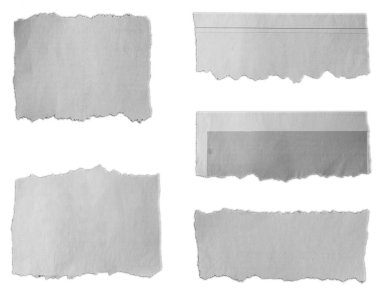 Beyaz arkaplanda beş parça yırtık kağıt