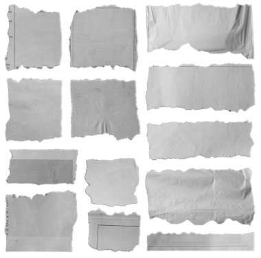 Thirteen pieces of torn paper on white background