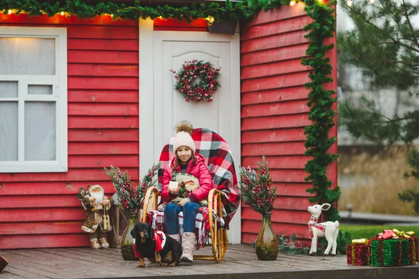 Mladá Dívka Sedí Houpacím Křesle Jezevčíkem Pes Její Blízkosti Vánoční Stock Fotografie