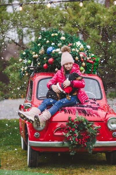 Mladá Dívka Sedí Jezevčíkem Pes Kapotě Červené Retro Auto Vánoční Royalty Free Stock Fotografie