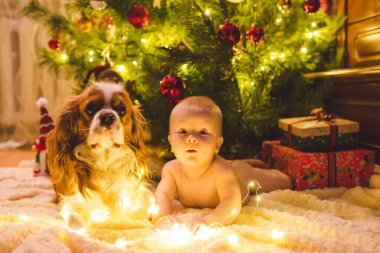 Noel ağacının altında yerde köpekle uzanan güzel küçük bebek Noel hediyeleri ve ışıklarla