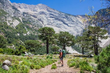 Lycian Yolu boyunca yürüyen yürüyüşçü, açık mavi gökyüzü altında yemyeşil ve görkemli dağ manzarasıyla çevrili sırt çantası ve yürüyüş direkleri taşıyor.