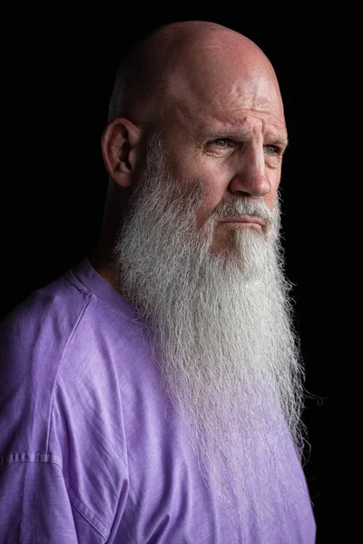 Portrait Man Long Gray Beard Wearing Purple Shirt Close Headshot Stok Lukisan  