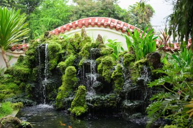 Geleneksel Zen Bahçesi Şelaleli Huzurlu Doğa Arkaplanı