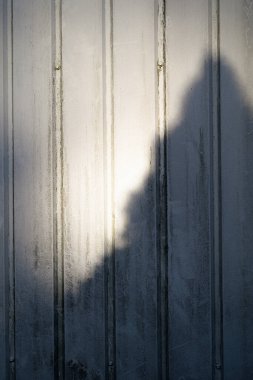 Beyaz ahşap bir duvarda bir ağacın gölgesi. Açık havada soyut bir arkaplan.