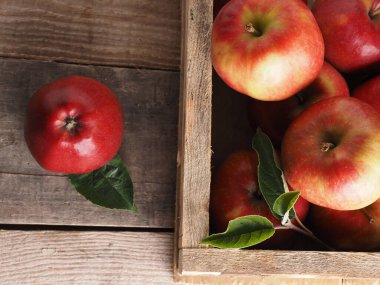 Tahta bir kutuda taze kırmızı organik elmalar hasat, mevsimlik gıda, tarım konsepti