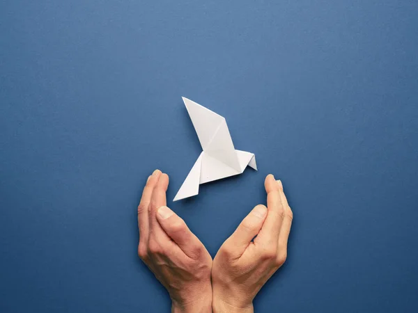 Manos Protegiendo Origami Paloma Paz Sobre Fondo Papel Azul Concepto —  Fotos de Stock