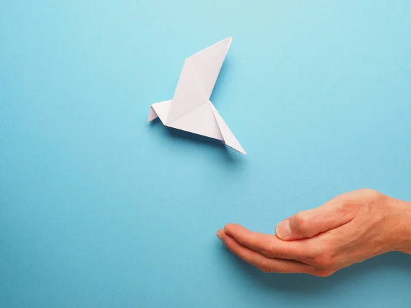 Mavi Bir Kağıdın Üzerinde Bir Origami Barış Güvercini Ile Elini — Stok fotoğraf