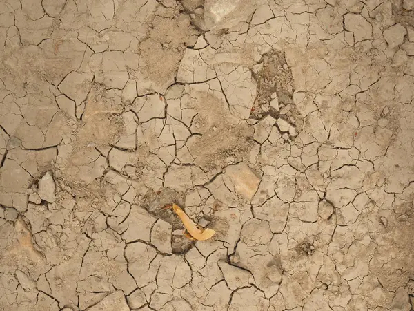 Trockene Bodenbeschaffenheit Rissige Sandkulisse Globale Erwärmung Umweltschutzkonzept Überdurchschnittliche Hitze — Stockfoto