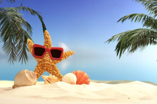 Starfish Και Κέλυφος Αμμώδη Παραλία Θολή Φόντο Διακοπές Ταξιδιωτική Έννοια — Φωτογραφία Αρχείου