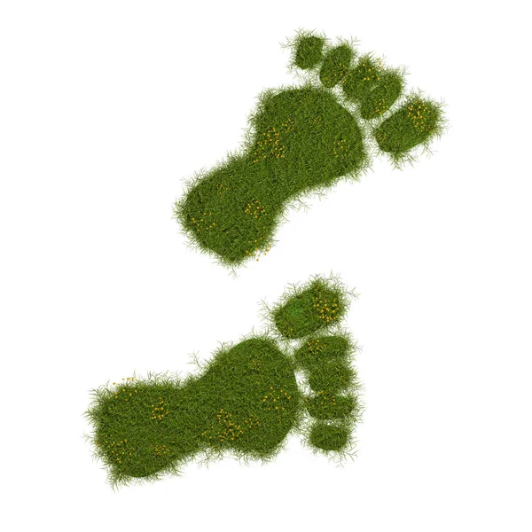 生態学的な足跡 白い背景の草の足跡 3Dイラストの3Dレンダリング — ストック写真